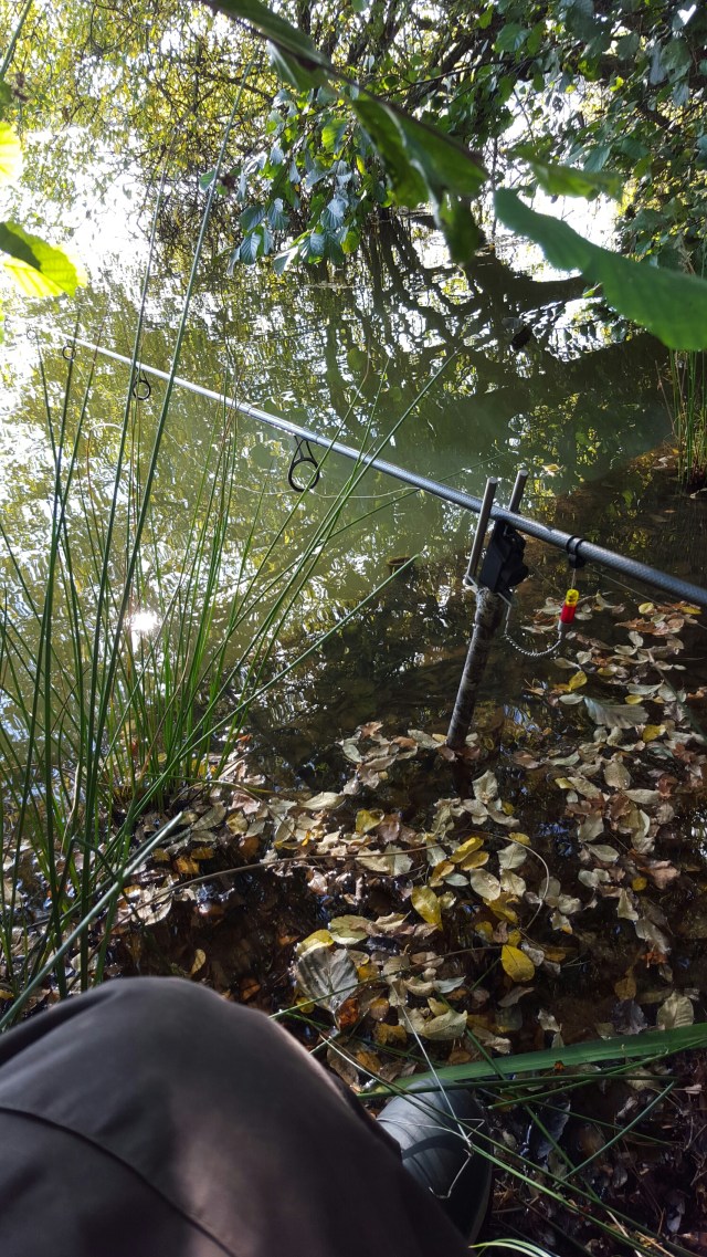 20151015_112019.jpg image