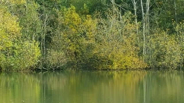 20151018_142400.jpg image