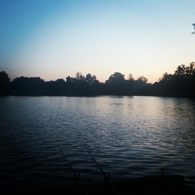 IMG_20151012_070123.jpg image