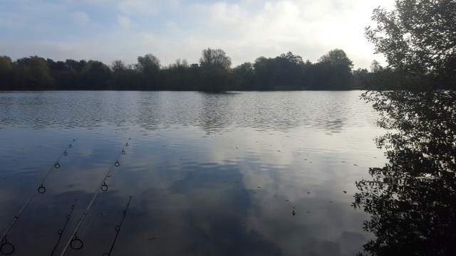 20151031_090825.jpg image