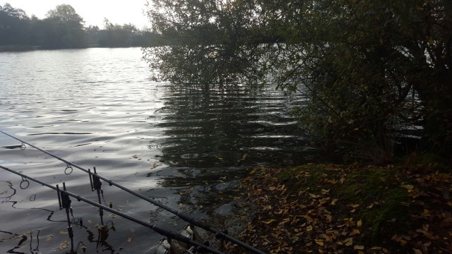 20151031_091730.jpg image