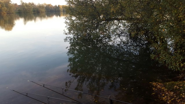 20151031_162500.jpg image