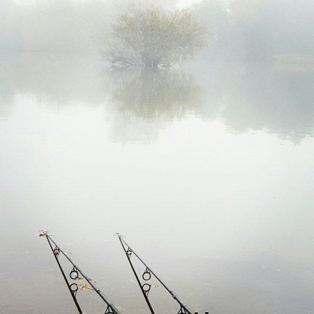 IMG_20151101_075838.jpg image