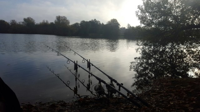 wp-1446282536316 image