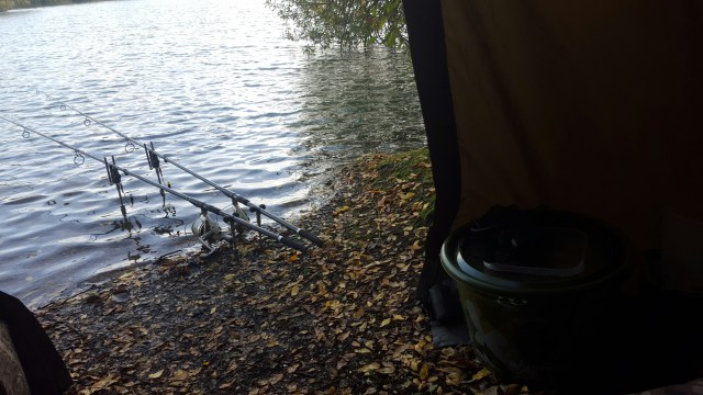 wp-1446293101639 image