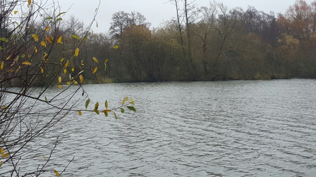 20151206_134153.jpg image