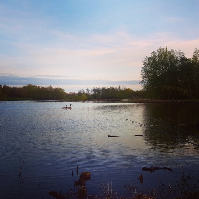 IMG_20170411_201034_171