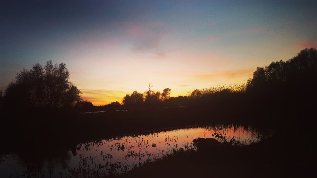 IMG_20170411_202341_231