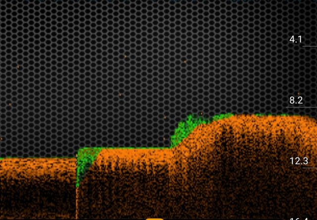 screenshot_20180710-174309_deeper