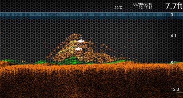 screenshot_20180908-191016_deeper