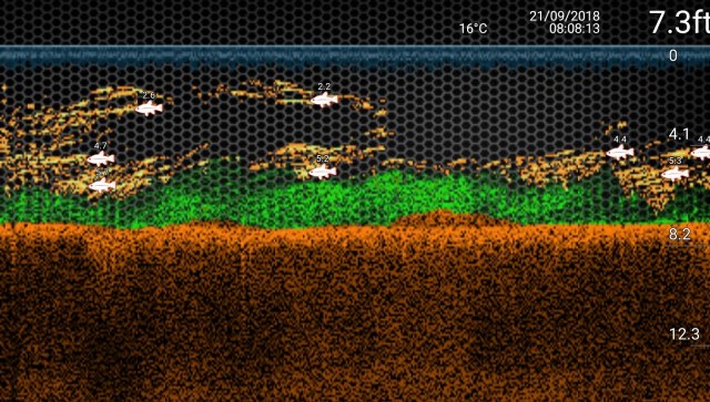 screenshot_20180921-132109_deeper