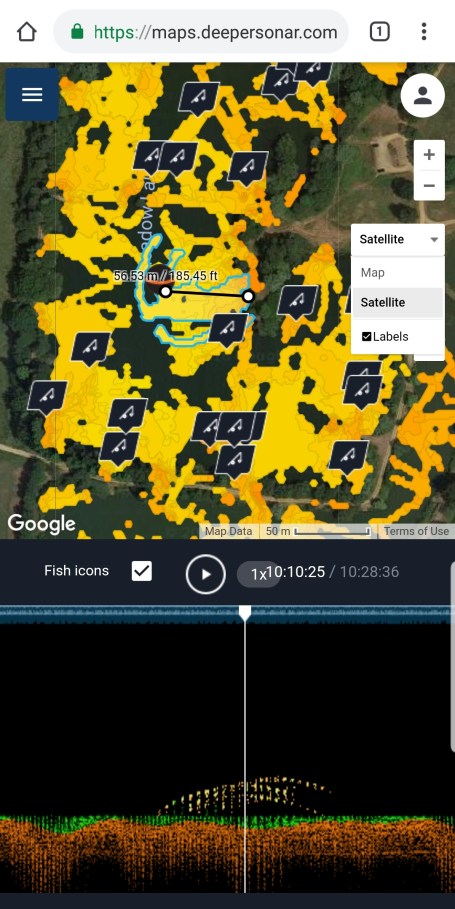 screenshot_20190121-162322_chrome[1]