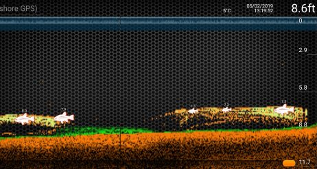 screenshot_20190205-135045_deeper-1