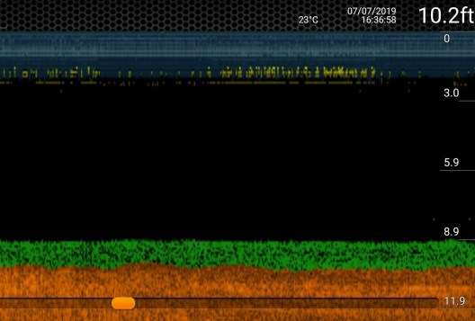 screenshot_20190707-185152_deeper