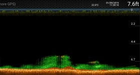 screenshot_20190901-133845_deeper