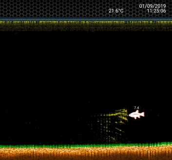 screenshot_20190901-135528_deeper