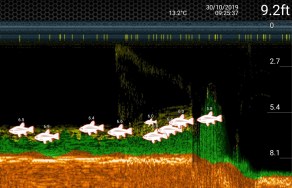 screenshot_20191030-102825_deeper