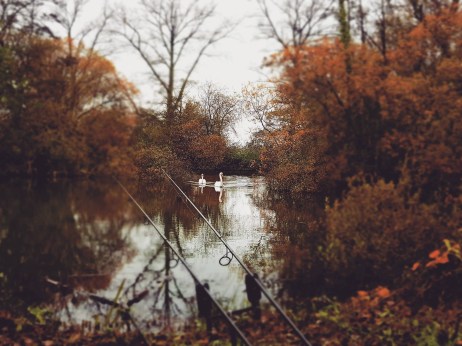 img_20191101_120913_779