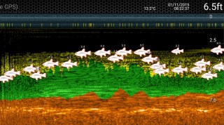 screenshot_20191101-085737_deeper