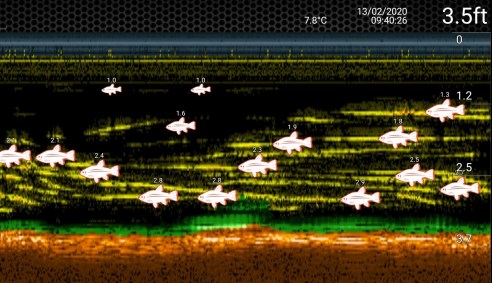 screenshot_20200213-103753_deeper