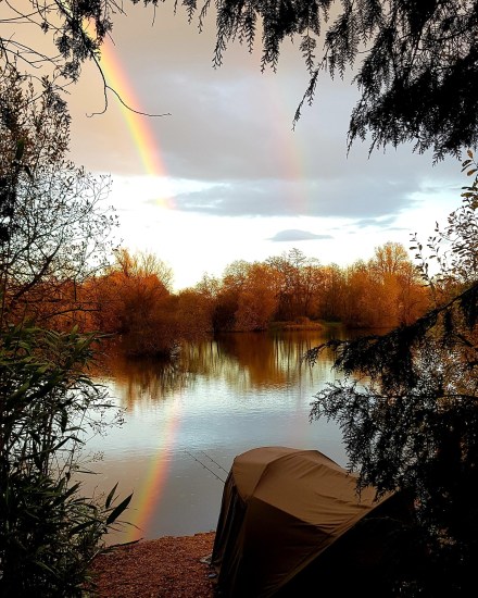 img_20201119_195336_477