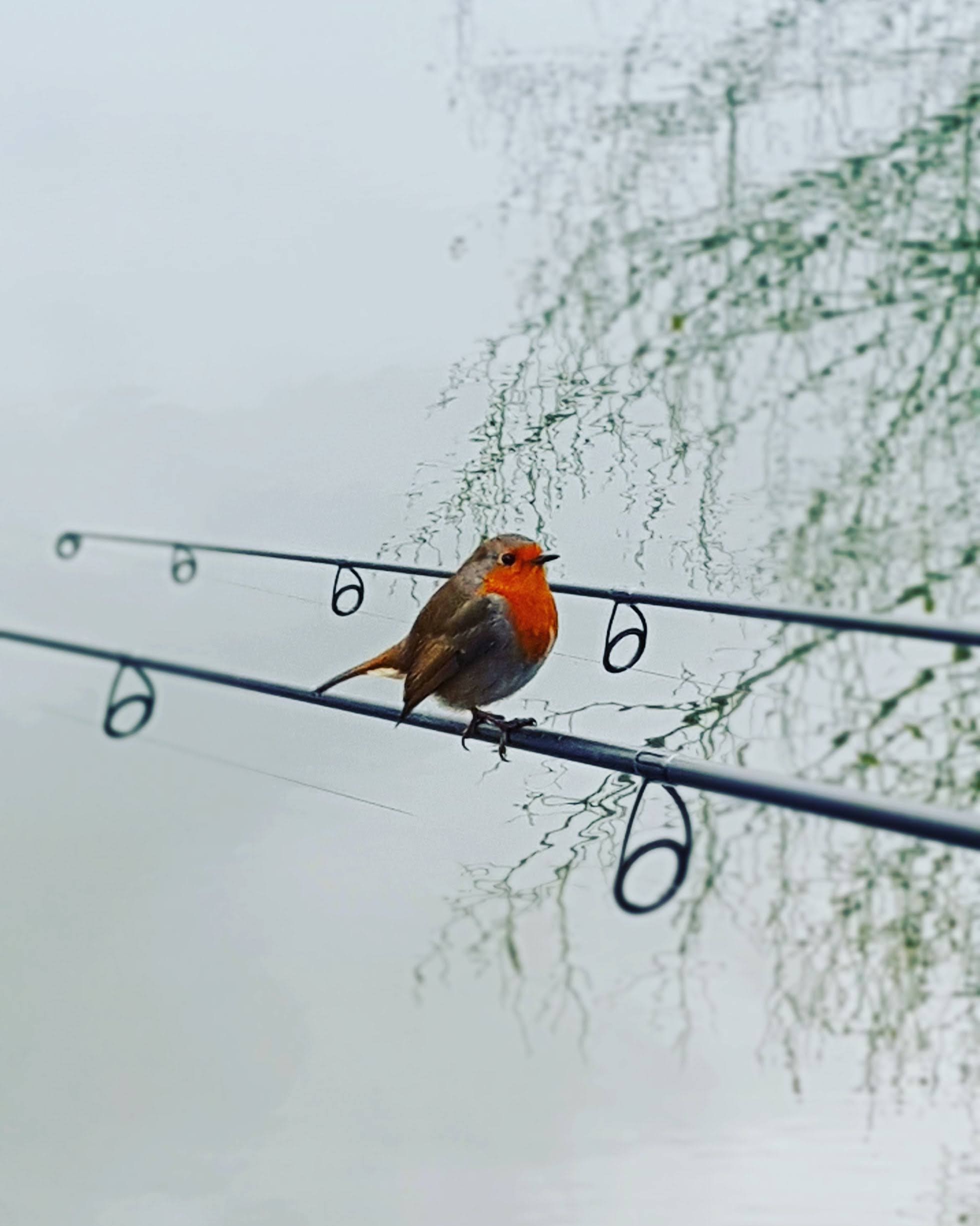 img_20201126_140410_209