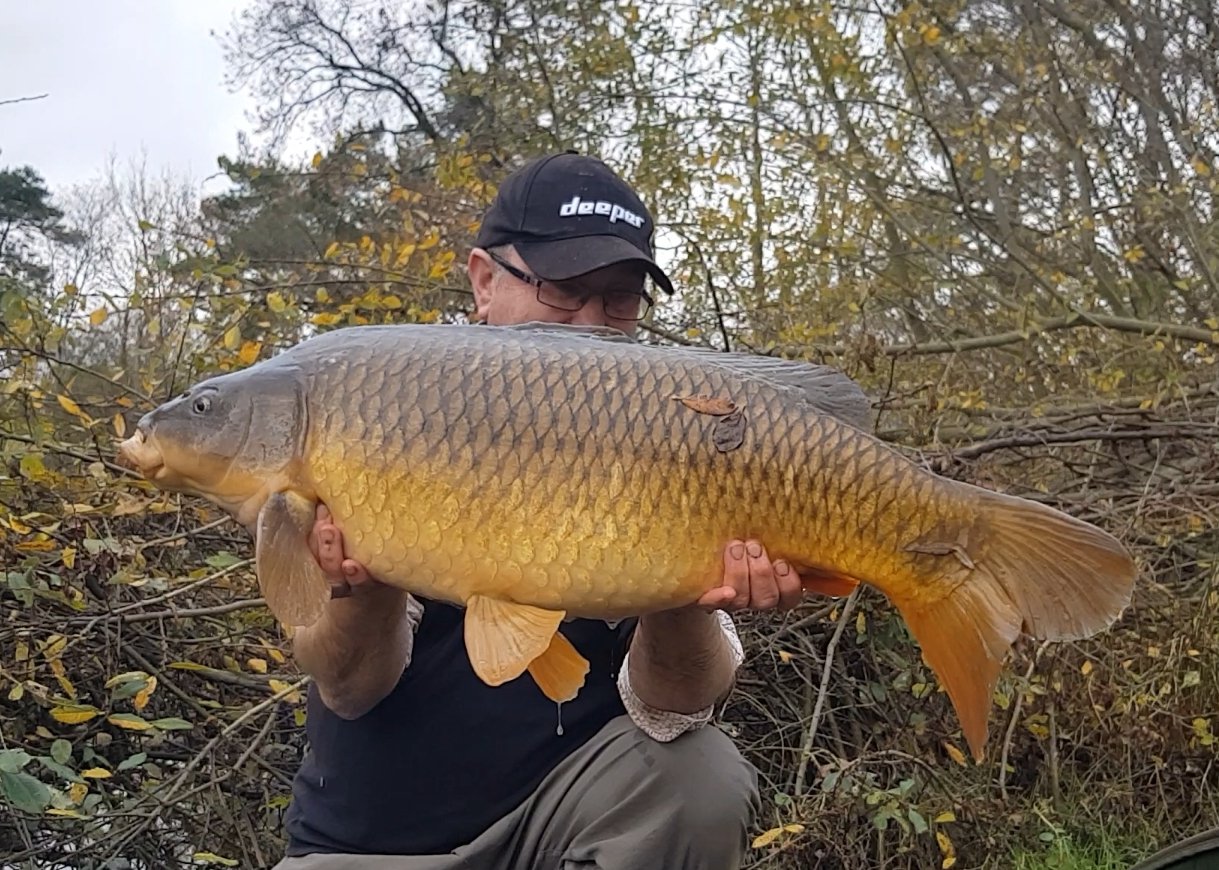 screenshot_20201125-145052_video player8076310463657623348..jpg