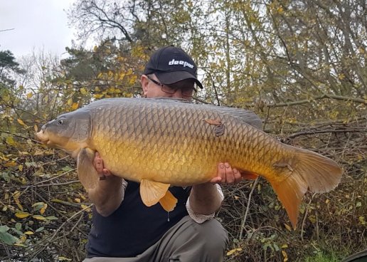 screenshot_20201125-145052_video player8076310463657623348..jpg