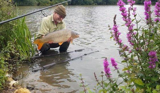 screenshot_20210831-143426_video player1271145346477178347..jpg