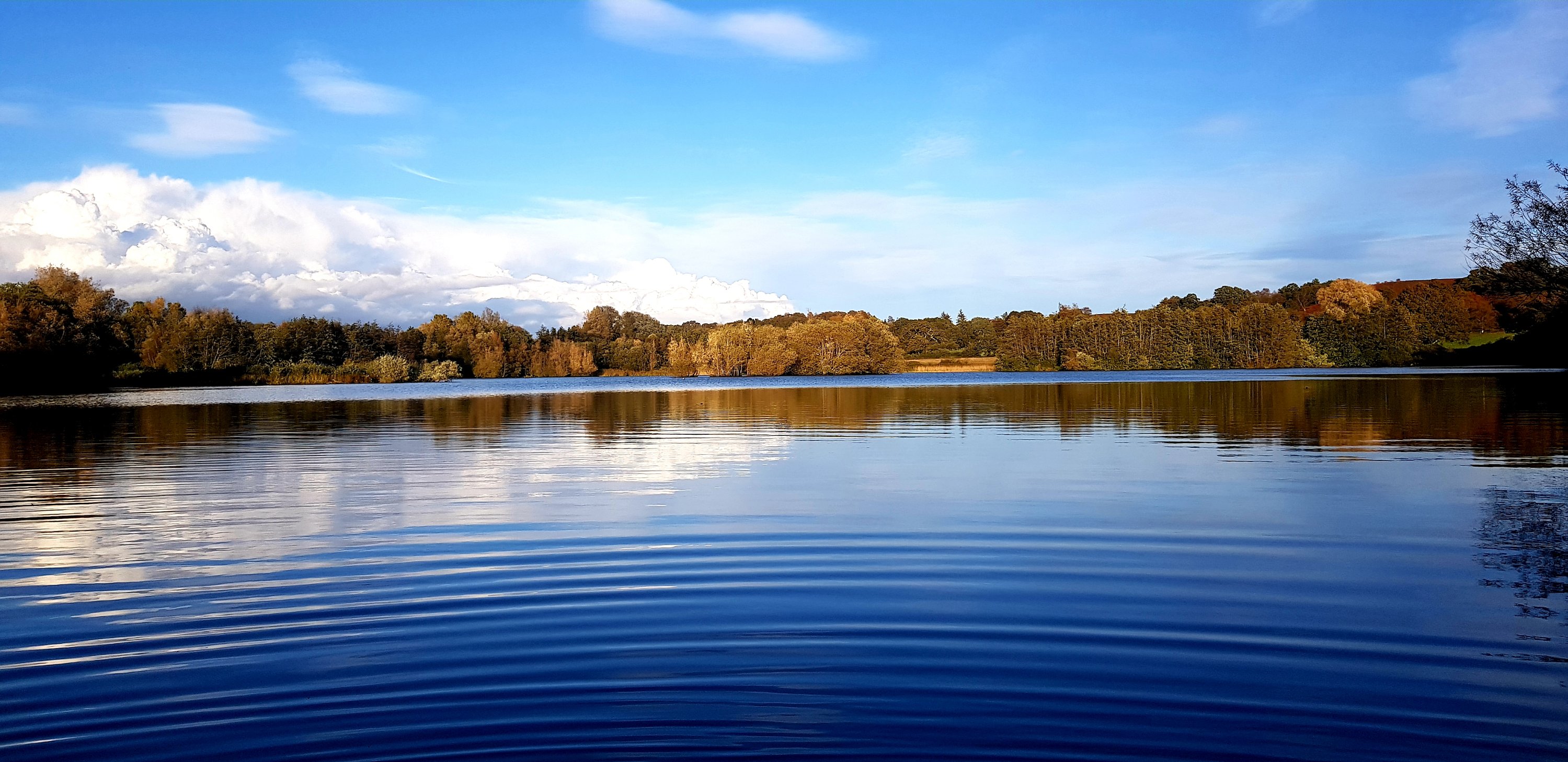 20211030_1717021533362323927591467