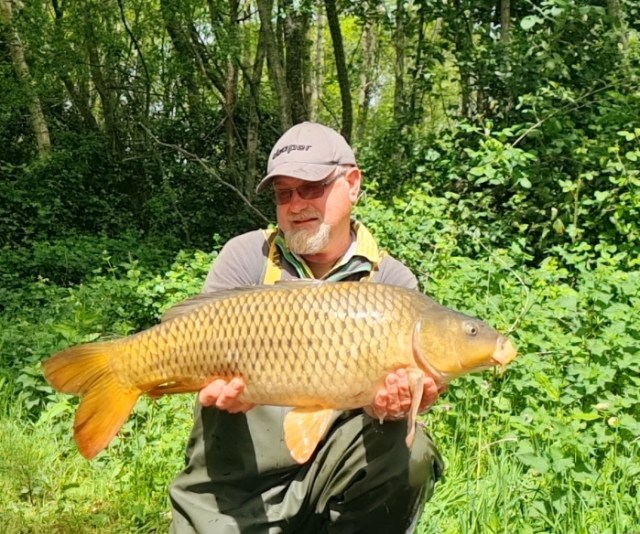 Screenshot_20220513-124338_Gallery