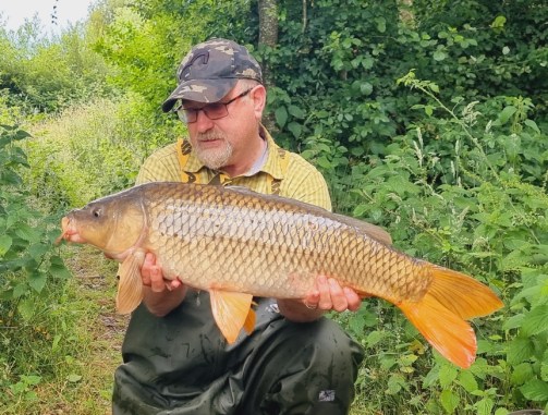 image_editor_output_image693534671-1656061469407