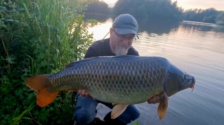 This image has an empty alt attribute; its file name is screenshot_20230729_205225_gallery.jpg