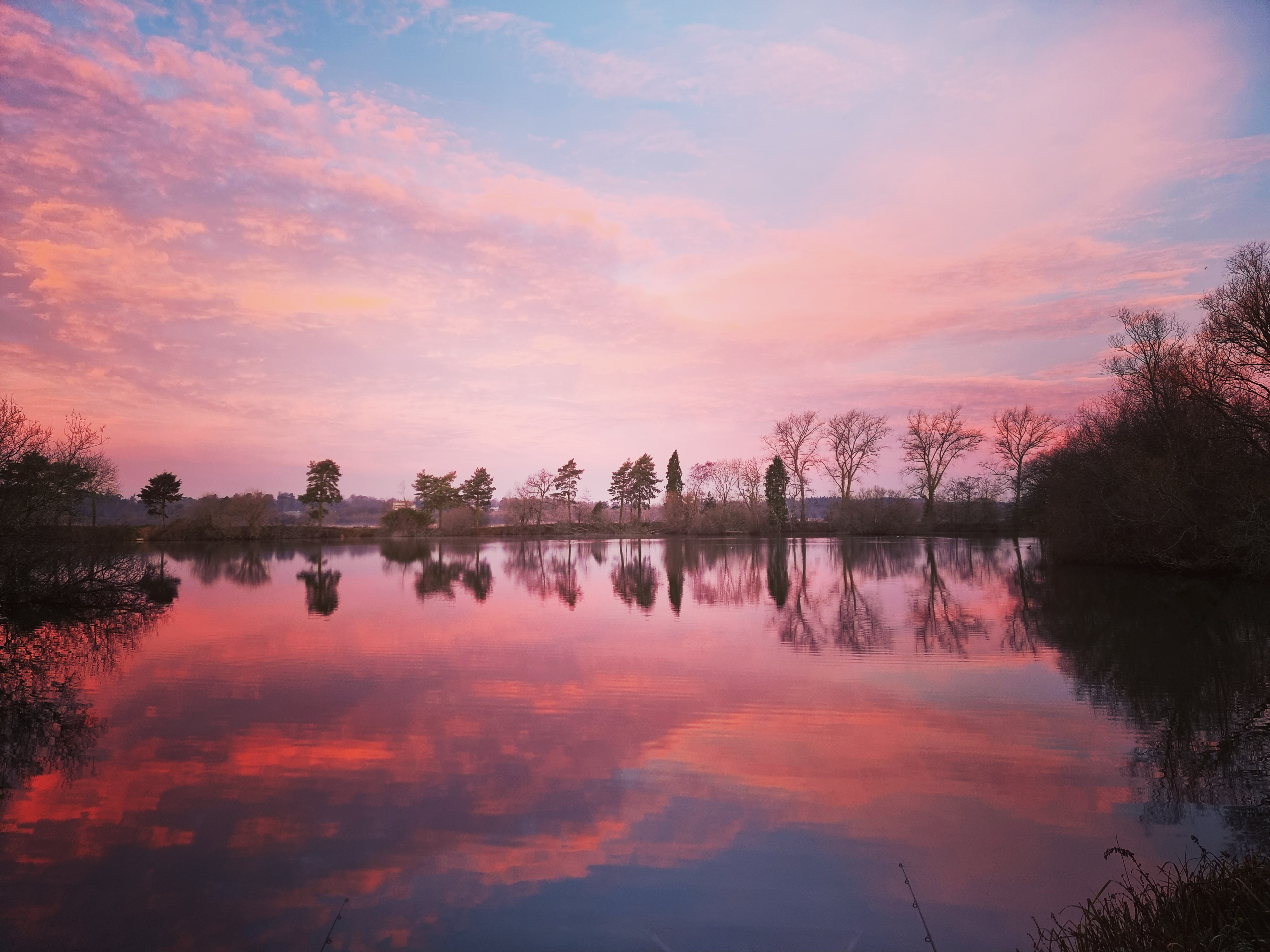 IMG_20211222_080125_980