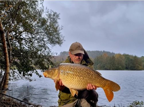 screenshot_20231216_143127_jetpack8388350223932374698