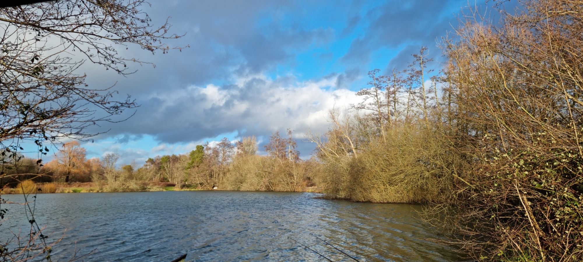 wp-17061911387189034897126816998692