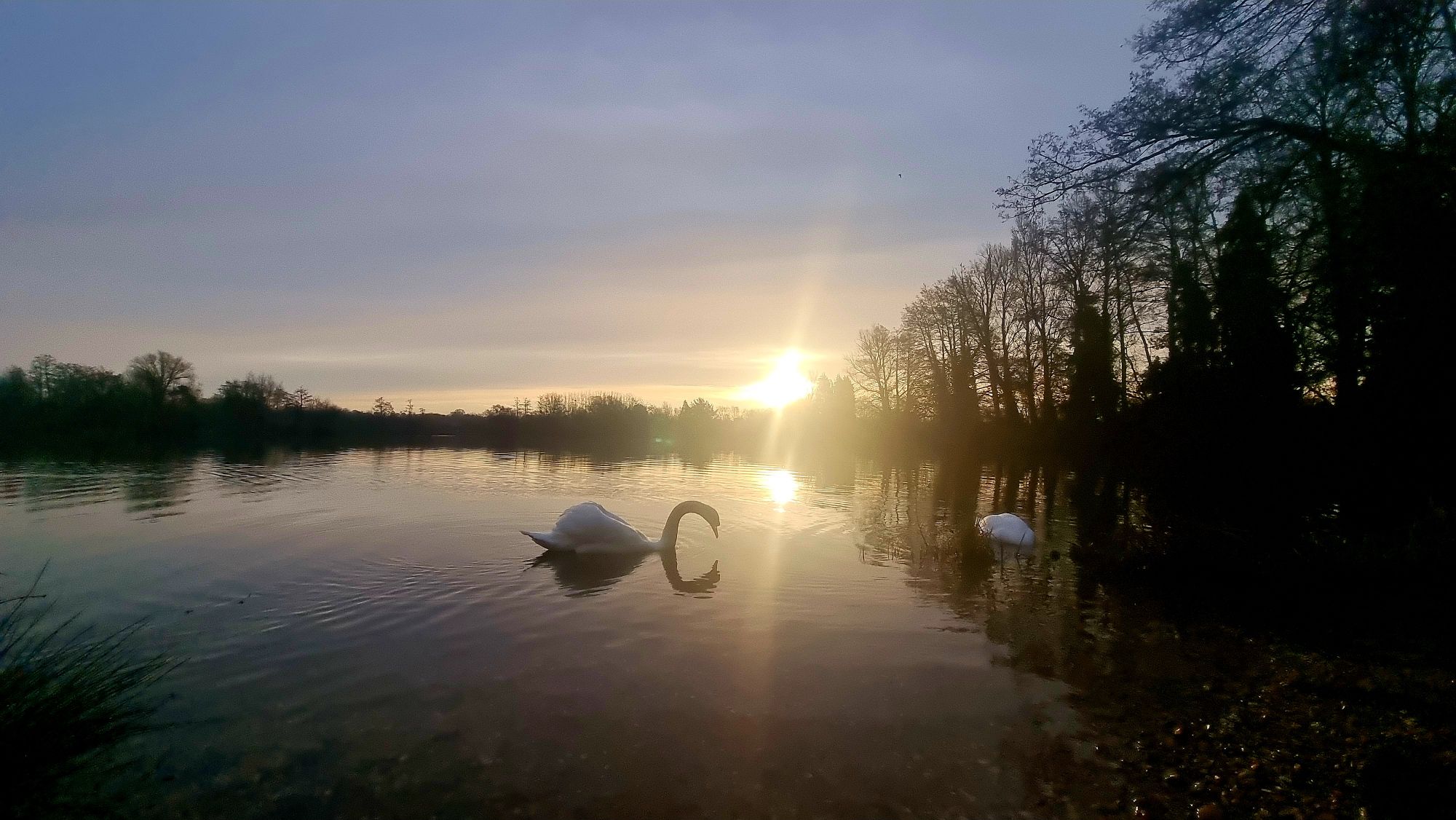 20240227_0733176845270429267437281