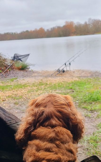 wp-17080149832068501558325249082646