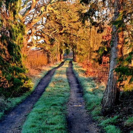 wp-17080149840641835521886434159955