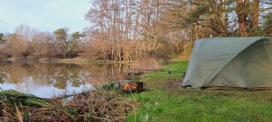 wp-17084179697652207218947580273252