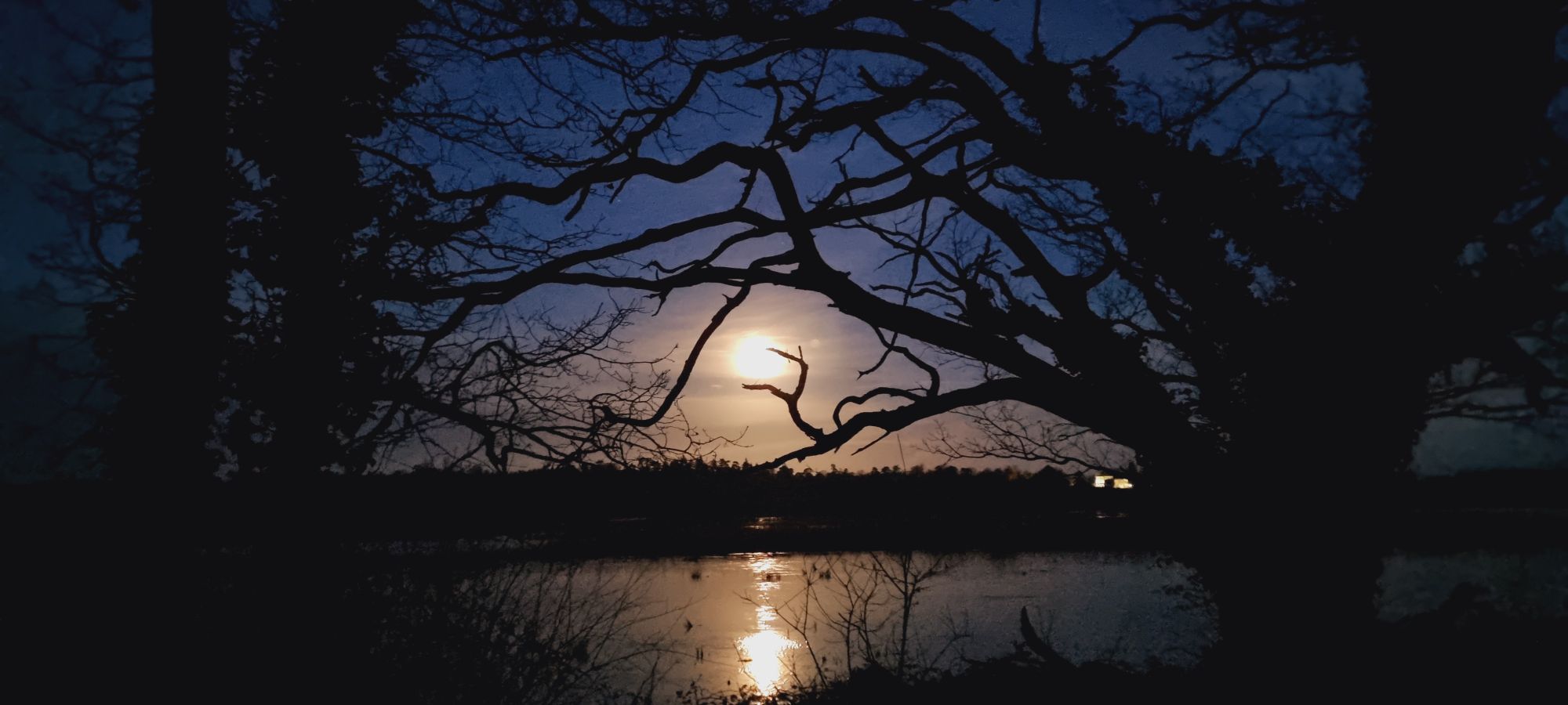 wp-17086966154008405574804831800010