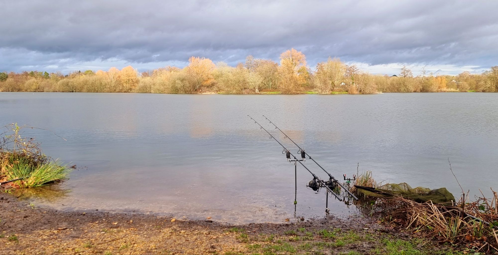 wp-17086966157036225894851114569822