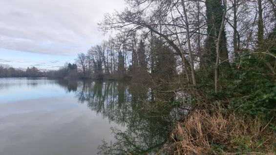 wp-17092156125667592317917921870040