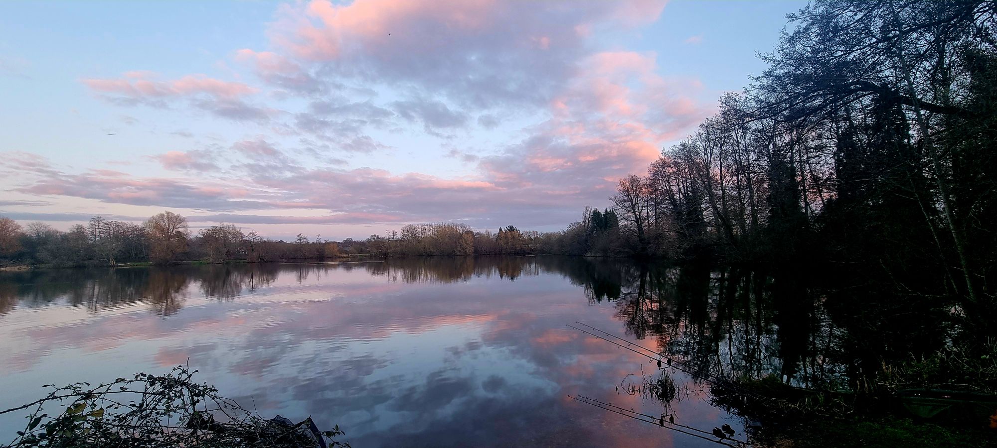 wp-17098300651958472836476544352035