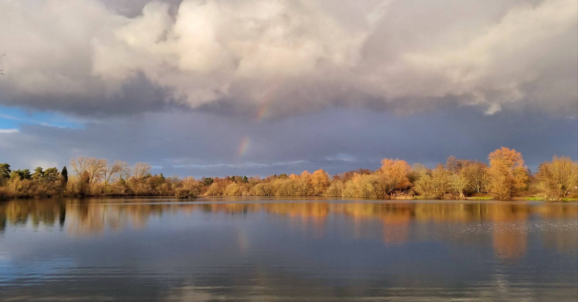 wp-17098301129183879271032033752949