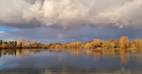 wp-17098301129183879271032033752949