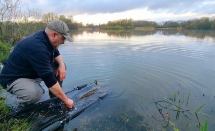 screenshot_20240401_075426_studio