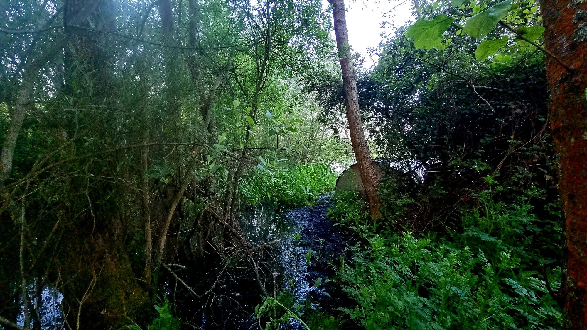 20240514_2016108503788904743176537