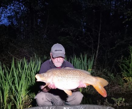 wp-17148312335836850292041124322029