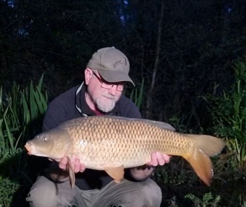 wp-17148312346661058282619117628813